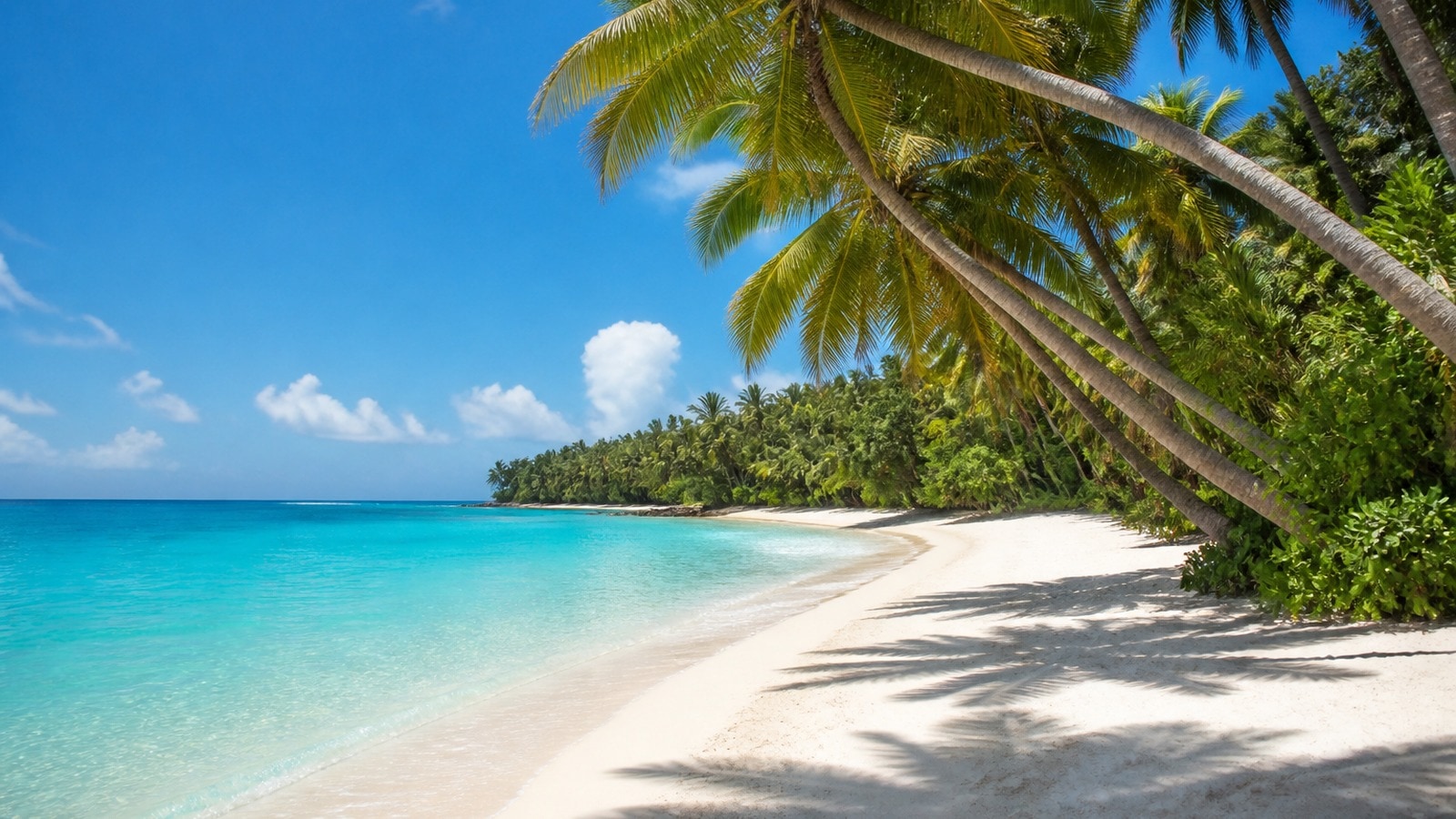 Tropical beach vacation destination